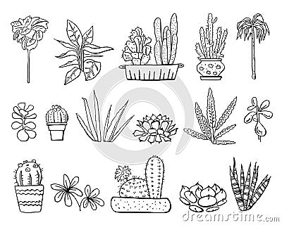 Houseplants, cactuses and succulents in flowerpots. Vector hand drawn outline black and white sketch illustration Vector Illustration